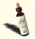 20ml_Larch.jpg